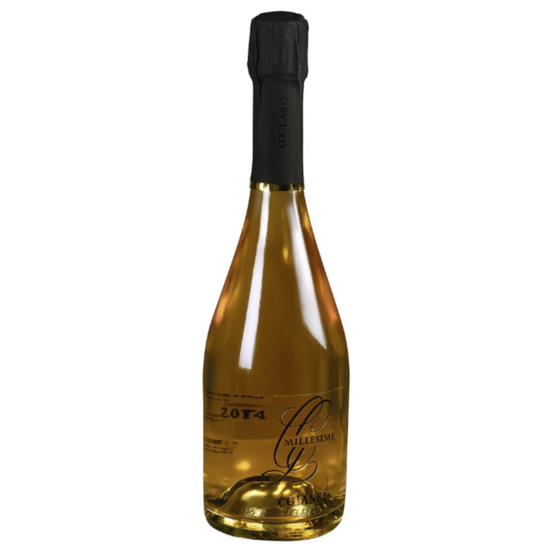 Champagner Gaston Collard - Jahrgang 2015 Grand Cru