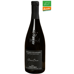 Champagner Gaston Collard -...