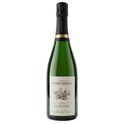 Champagner Hervé Dubois -...