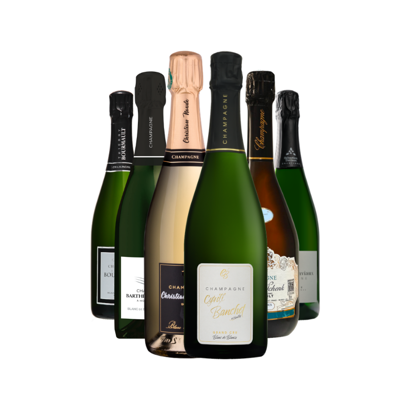 Champagne Terroir - Limited edition: Blanc de Blancs Box 6 bottles
