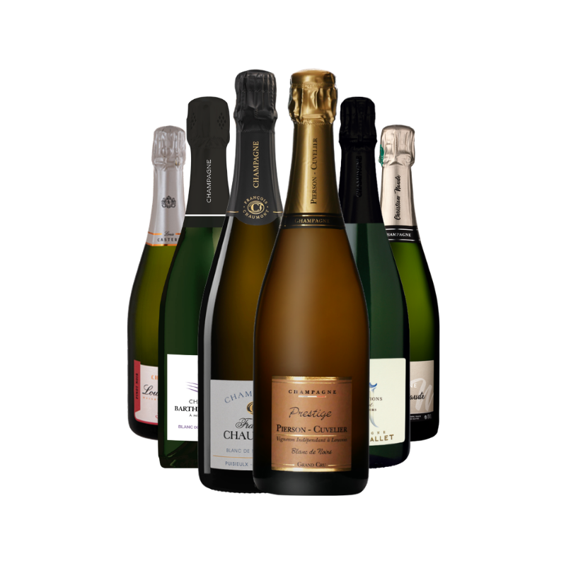 Champagne Terroir - Limited edition: Blanc de Noirs Box 6 bottles