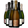 Champagne Terroir - Limited edition: Blanc de Noirs Box 6 bottles