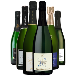 Champagne Terroir -...