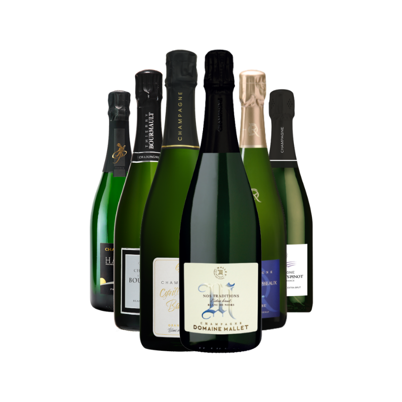Champagne Terroir - Estuche Exploración 6 botellas