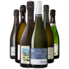 Champagne Terroir - Entdeckungen Signatur 6 Flaschen