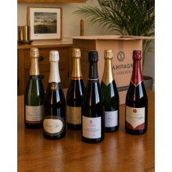 Champagne Terroir - Geschenkset Entdeckung 6 Flaschen