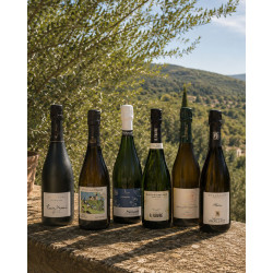 Champagne Terroir - Signature Box 6 Bottles