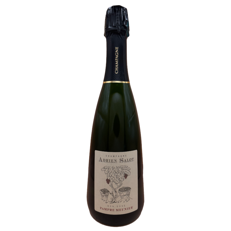 Champagne Adrien Salot - "Pampre Meunier" Blanc de noirs harvest 2014